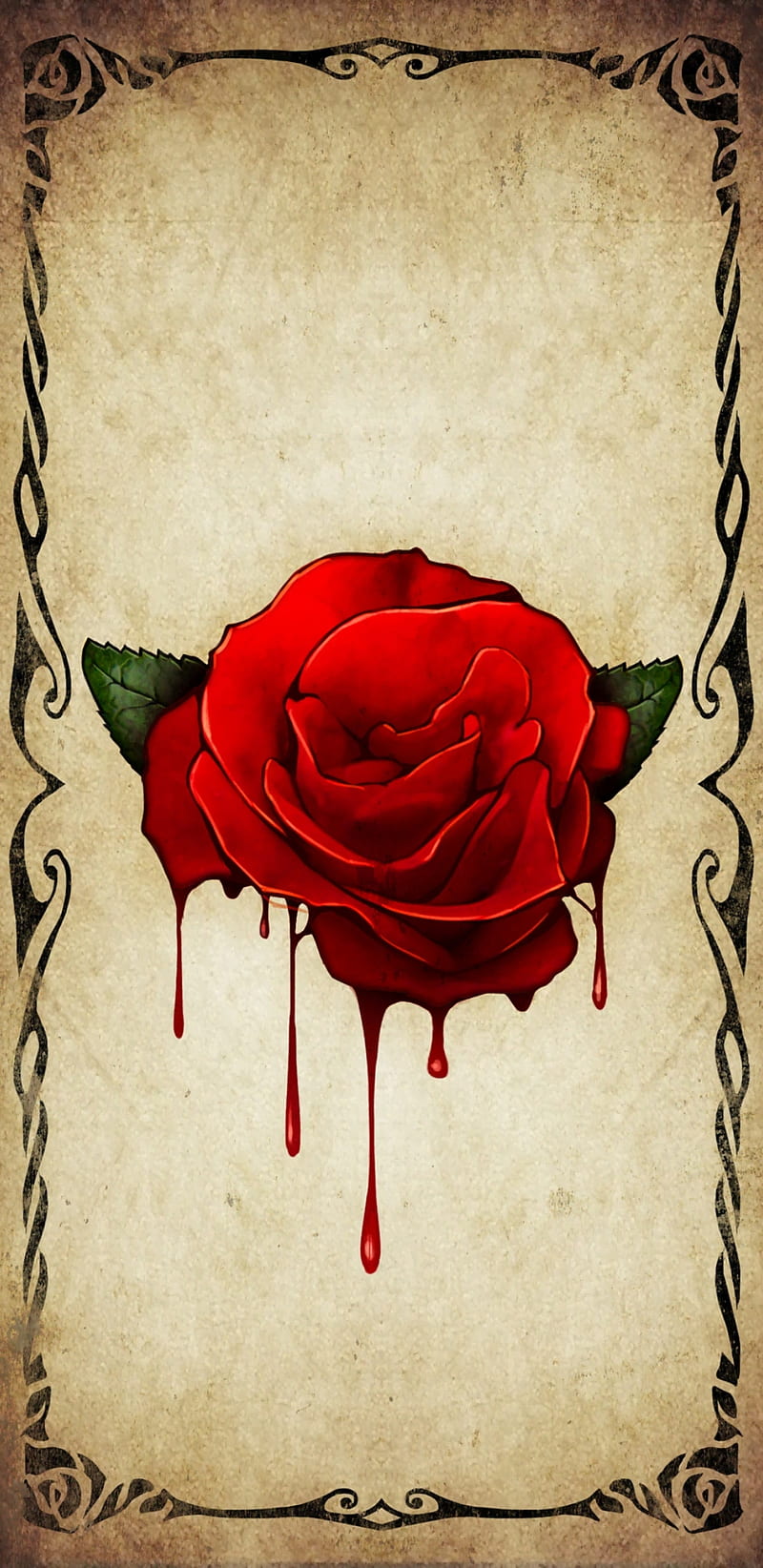 Blood roses 1080P 2K 4K 5K HD wallpapers free download  Wallpaper Flare