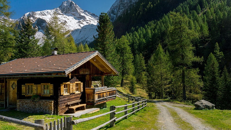 Pequeña cabaña de madera, bosque, cabaña, Austria, naturaleza, cabaña,  árboles, Fondo de pantalla HD | Peakpx