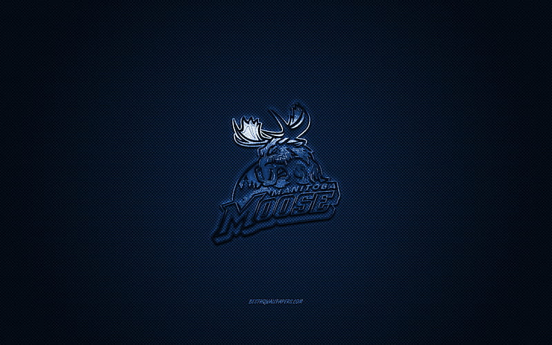 Manitoba Moose, Canadian hockey club, AHL, blue logo, blue carbon fiber background, hockey, Winnipeg, Manitoba, Canada, USA, Manitoba Moose logo, HD wallpaper