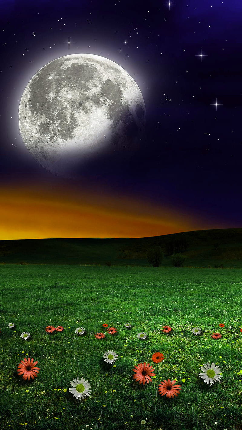 Moon, flowers, grass, green, nature, night, romantic, sky, HD phone wallpaper