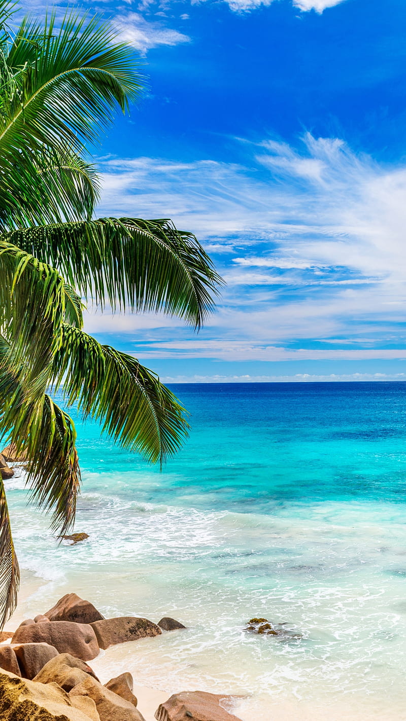 Beach , blue, ocean, rock, tropical, earth, seychelles, HD phone wallpaper