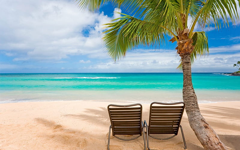 beach chairs under coconut tree, beach, tree, chairs, clouds, sea, HD wallpaper