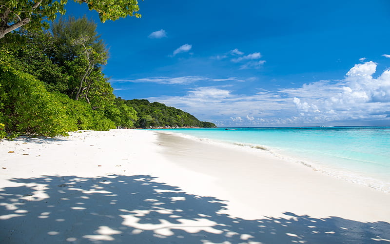 tropical island, summer, beach, palm trees, jungle, travel concepts, blue lagoon, ocean, HD wallpaper
