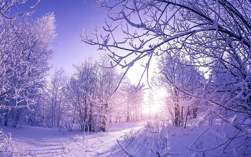 Imagini pentru imagini de iarna  Winter landscape Landscape wallpaper  Free winter wallpaper