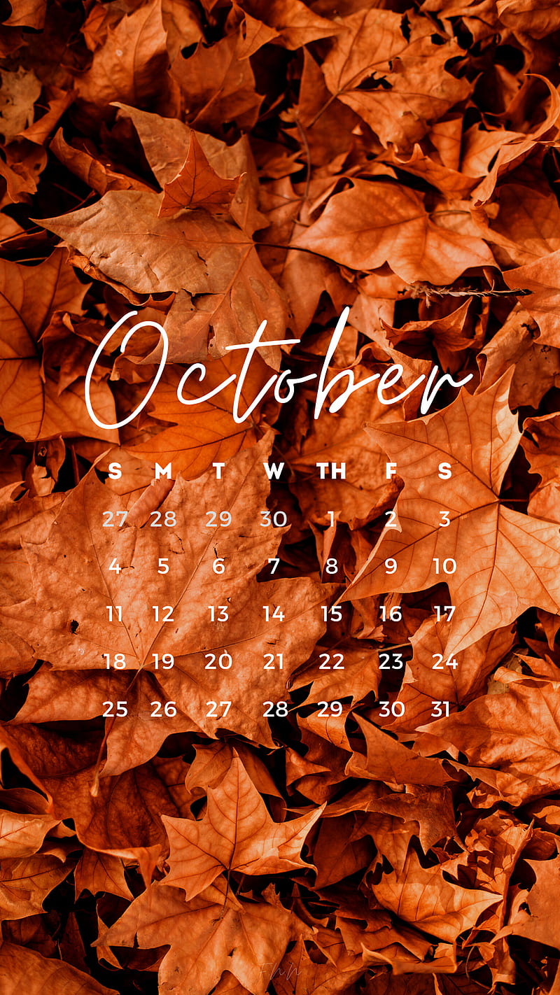 October, autumn, calendar, fall, HD phone wallpaper Peakpx