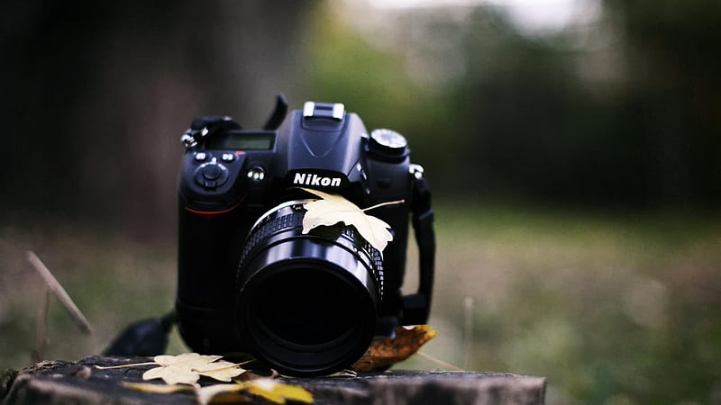 Nikon Nature, camera, nikon, graphy, blur, HD wallpaper