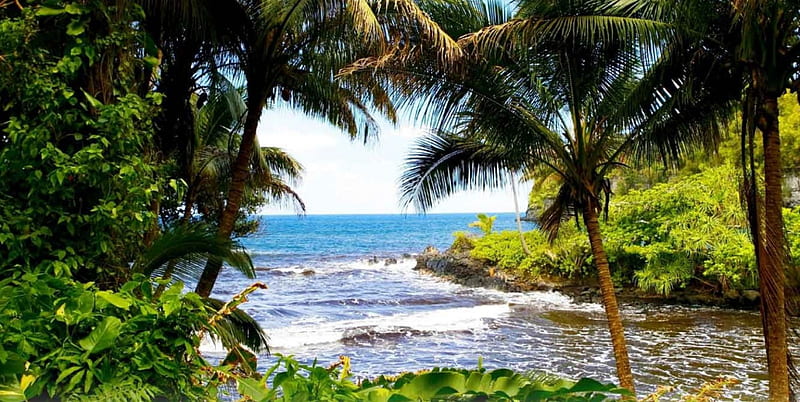 Natural Window To Beach, Oahu, beach, seashore, Hawaii, ocean, bonito, island, palm trees, HD wallpaper
