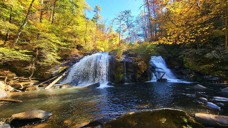 Turtle Creek Falls, Tennessee, river, colors, cascades, trees, autumn, forest, rocks, usa, fall, HD wallpaper
