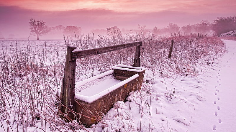 a pink winter day at the ranch, fence, fields, pink, winter, trough, mist, HD wallpaper