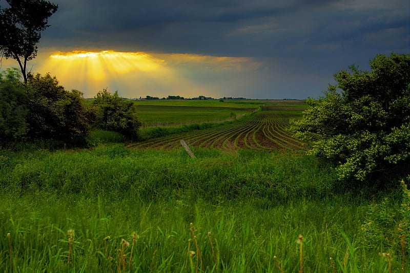 sunbeams over cultivated fields, sunbeams, cultivated, fields, clouds, HD wallpaper