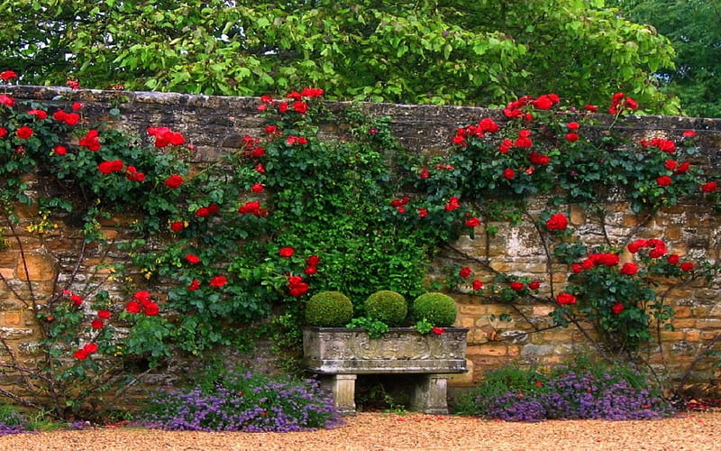 Scene from a Private Garden, garden, private, scene, HD wallpaper