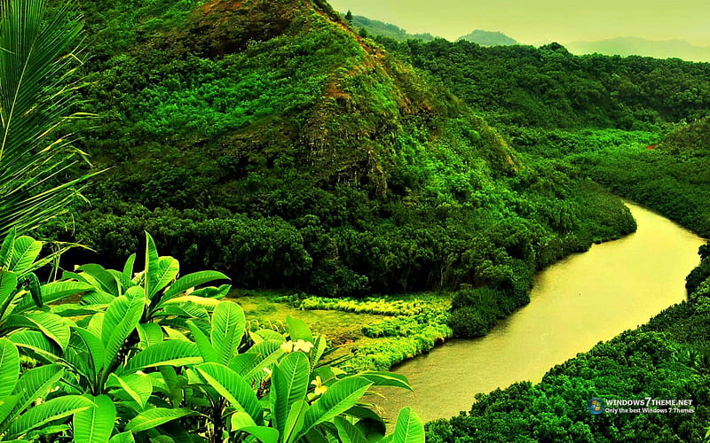 Fotos Videos Paisagens, 97.000+ fotos de arquivo grátis de alta