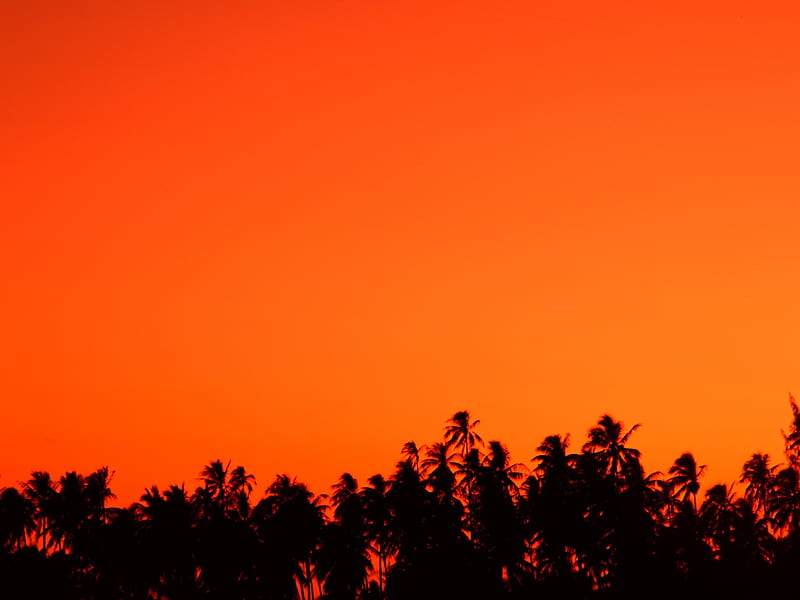 Tahiti red evening sky, HD wallpaper