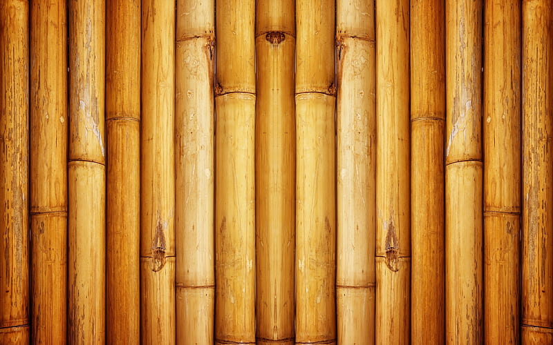 bamboo, brown bamboo, bamboo wall, HD wallpaper