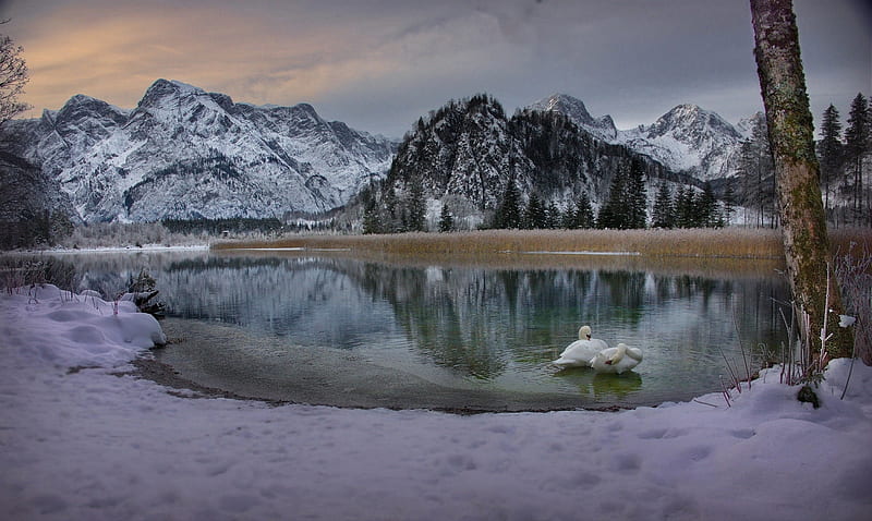 Austria Snow Alps, HD wallpaper
