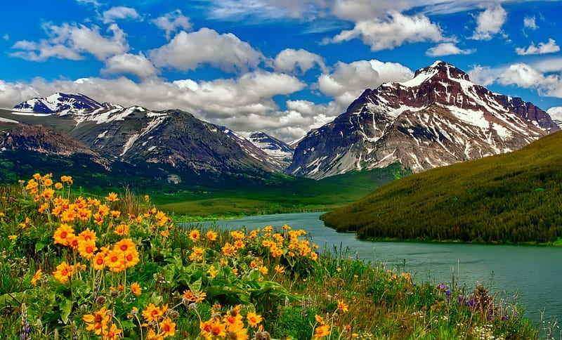 Spring river flowers, hills, rocks, shore, grass, spring, sky, clouds, freshness, mountain, flowers, river, HD wallpaper