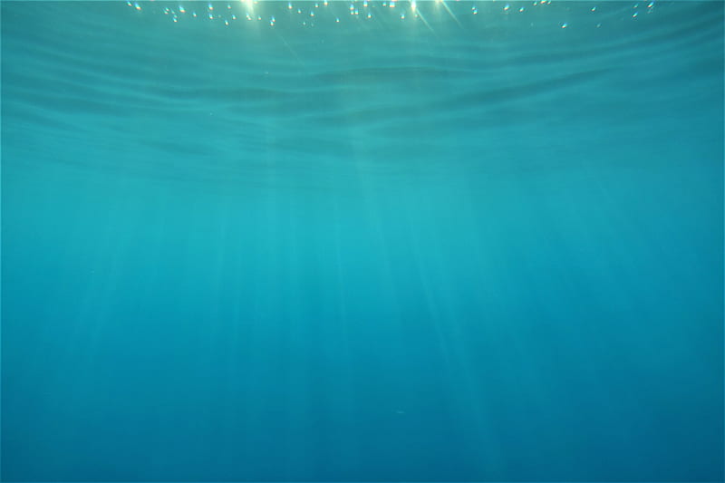 Under water, aqaba, blue, ocean, red sea, sea, HD wallpaper