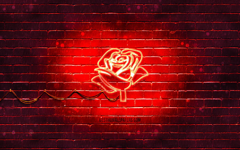 Red Rose neon icon red background, neon symbols, Red Rose, neon icons, Red Rose sign, neon flowers, nature signs, Red Rose icon, nature icons, HD wallpaper