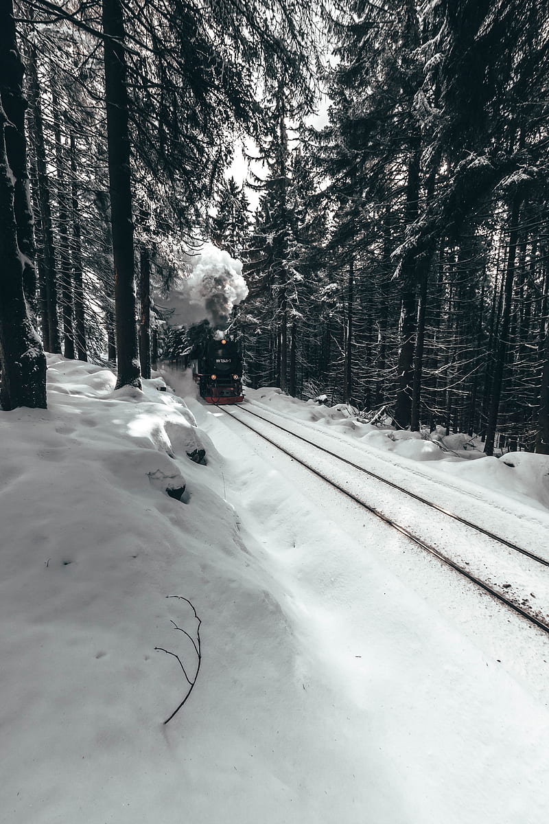 locomotive, train, forest, snow, winter, HD phone wallpaper