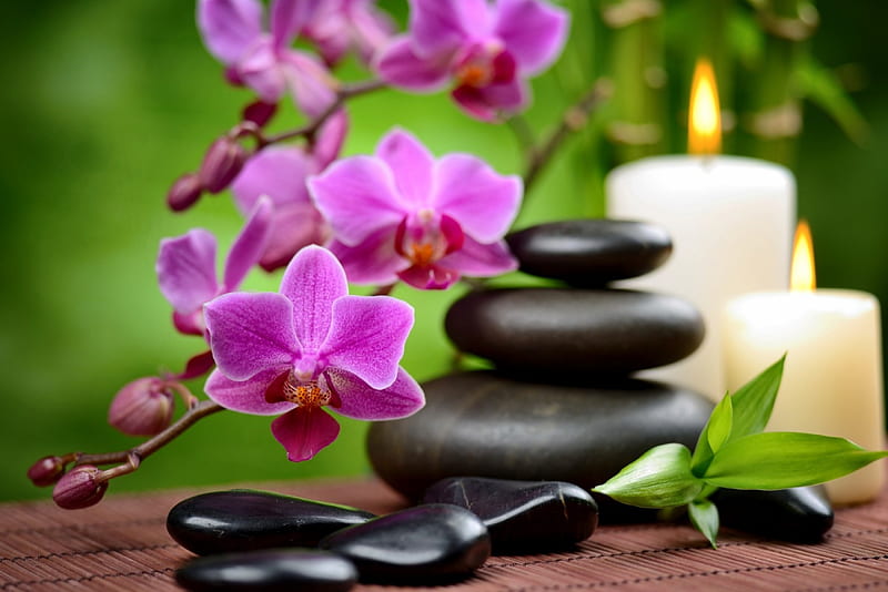 Spa concept, candle, zen, relax, bonito, bamboo, still life, leaves, stones, concept, orchid, spa, flower, pink, HD wallpaper
