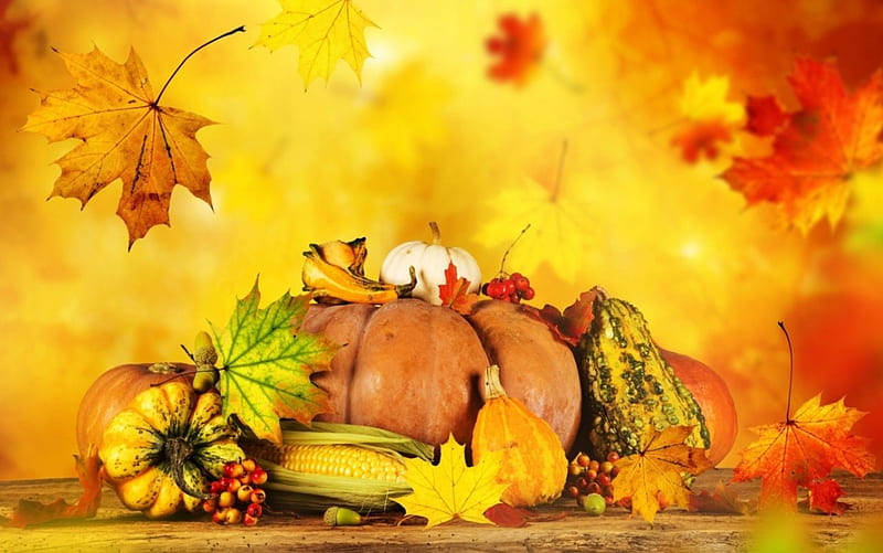 Autumn Still Life, leaves, berries, corn cob, painting, colors, artwork, pumpkins, HD wallpaper