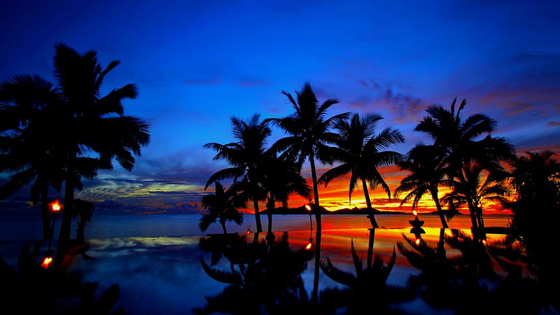 Splendid tropical sunset, shore, splendid, dusk, bonito, sunset, sea, beach, evening, reflection, night, amazing, vacation, lovely, awesone, colors, sky, palms, paradise, tropical, HD wallpaper