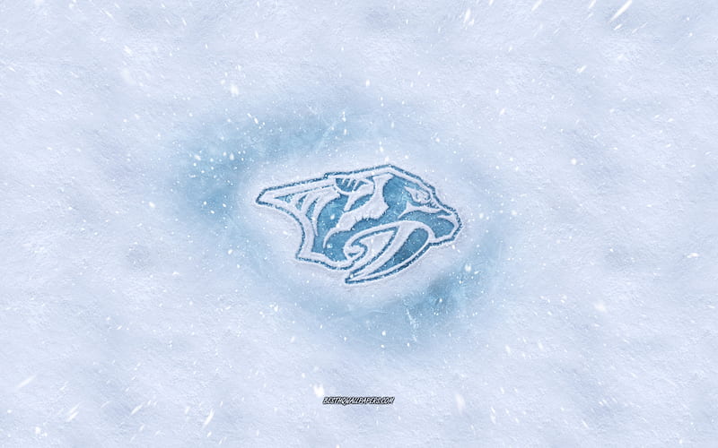 Nashville Predators logo, American hockey club, winter concepts, NHL ...