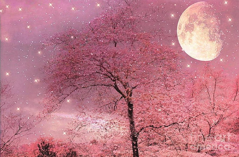 ★Pink Moonlight★, stars, moons, pretty, lovely, colors, love four seasons, bonito, trees, sweet, moonlight, nature, forests, pink, HD wallpaper