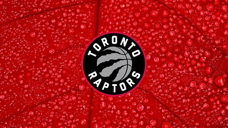 Toronto Raptors, Canada, Emblem, Toronto, Raptors, NBA, Logo, Canadian Team, Sport, Basketball, HD wallpaper