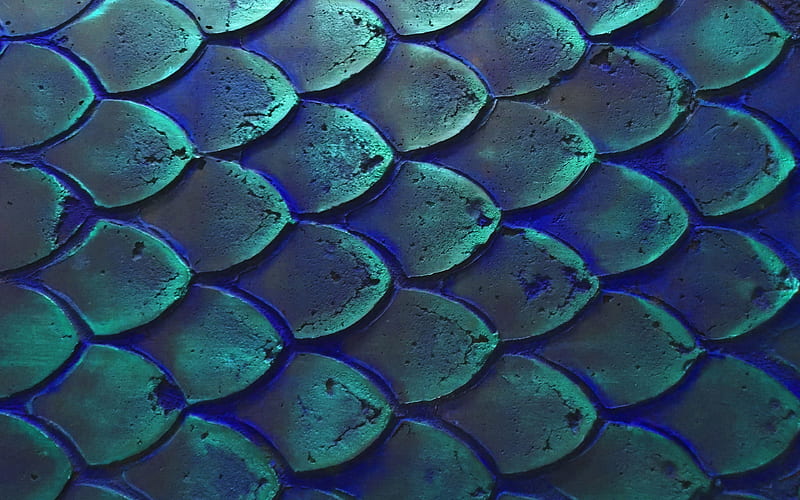 fish scales macro, scales textures, 3D textures, background with scales, blue backgrounds, scales, HD wallpaper