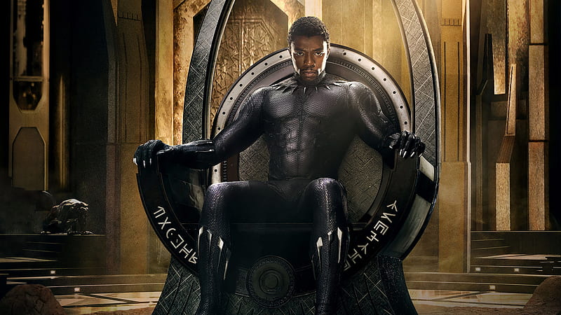 Black Panther 2018 , black-panther, 2018-movies, movies, HD wallpaper