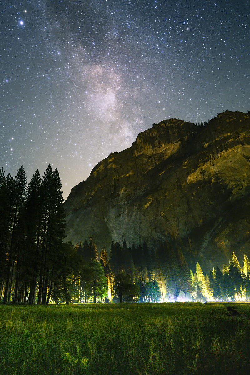 green grass field and tall trees in front of mountain under the galaxy, HD phone wallpaper