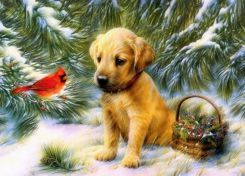★Meeting Friends★, pretty, Christmas, holidays, bonito, xmas and new year, paintings, lovely, New Year, colors, love four seasons, birds, trees, winter, cute, snow, berries, basket, winter holidays, cardinal, dogs, HD wallpaper
