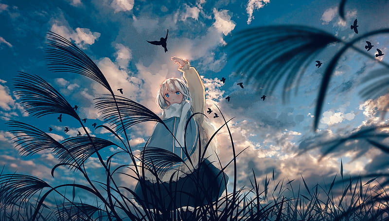 cute anime girl, plants, anime landscape, clouds, bird, short hair, Anime, HD wallpaper