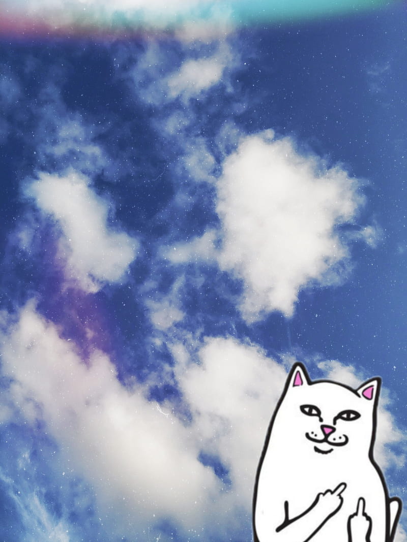 ripndip, air, cat, clouds, cat, logo, nuvem, sky, HD phone wallpaper