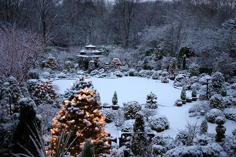 Christmas Eve, home, garden, japanese, winter, HD wallpaper