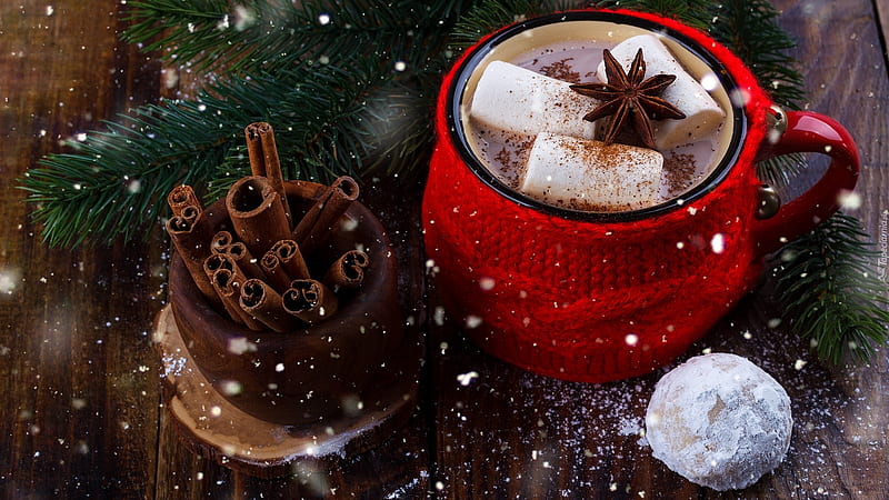 winter still life, graphy, cool, cacao, composition, decoration, spice, chinnamon, HD wallpaper