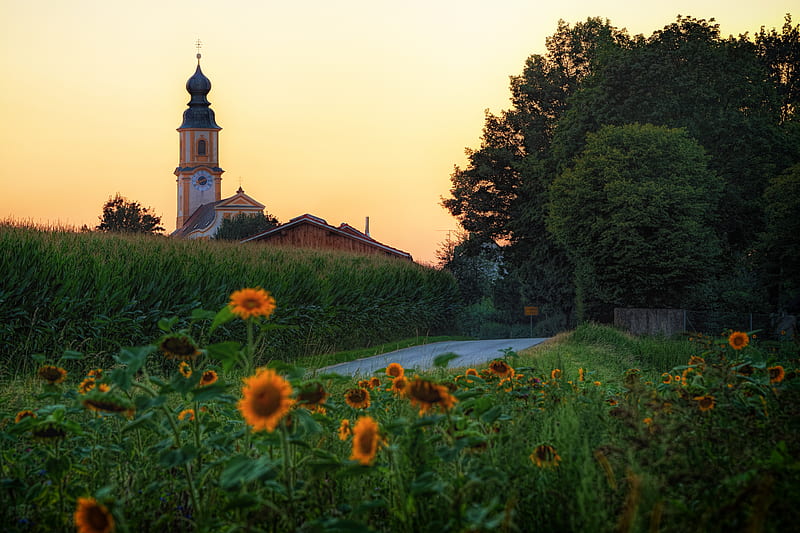 Churches, Church, Germany, Road, Sunflower, HD wallpaper