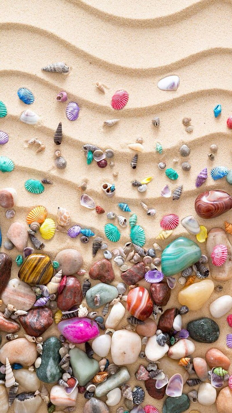 Conchas de mar, coloridas, Fondo de pantalla de teléfono HD | Peakpx