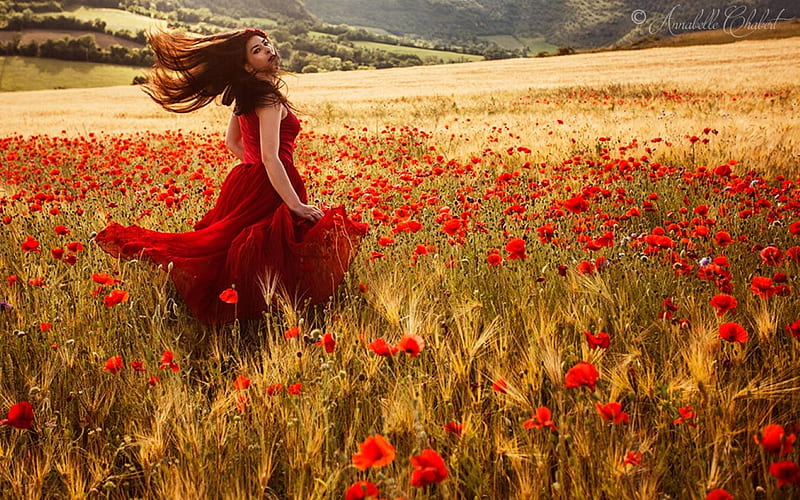 Poppy Field, beauty, girl, field, poppies, wind, HD wallpaper