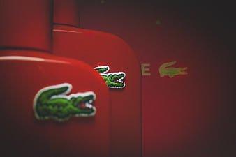 Lacoste, Brand, Famous, Marca, Jersey, Logo, HD phone wallpaper