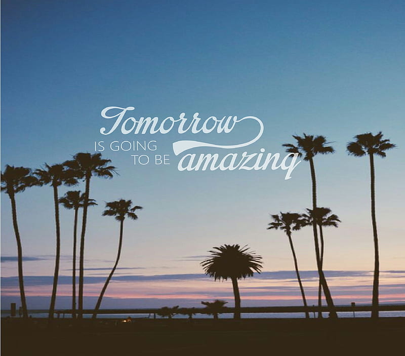 Tomorrow amazing, amazing, la, palm trees, quotes, sunset, tiddmisao, tomorrow, HD wallpaper