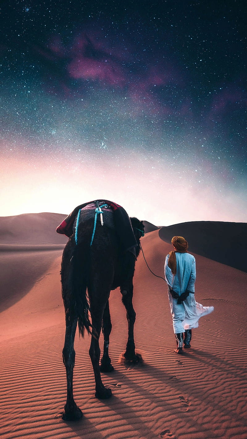 Desert man, animal, back, camel, desert, male, nature, rear, sand, stars, HD phone wallpaper
