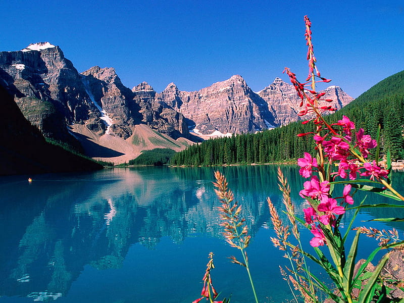 Beautiful Lake, hills, pink flowers, grass, lovely sky, lake, nice place, mountains, blue water, plants, HD wallpaper