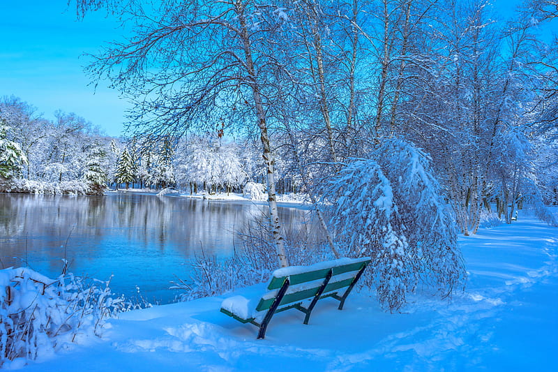 Winter view, rest, forest, view, bench, bonito, trees, lake, winter, pond, snow, ice, reflection, landscape, frost, HD wallpaper
