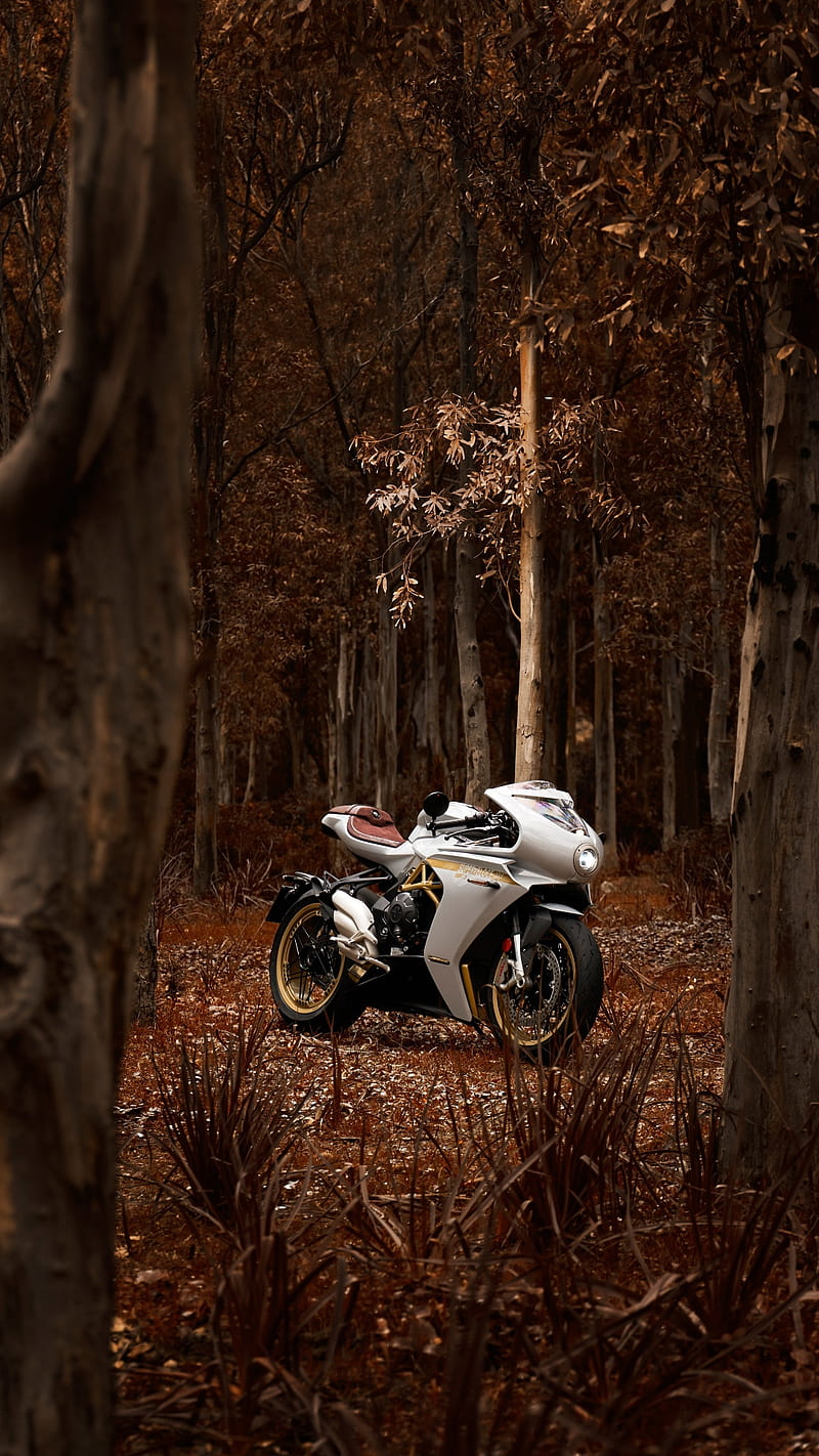MV Agusta, motorcycle, motor, forest, white, , bike, HD phone wallpaper |  Peakpx