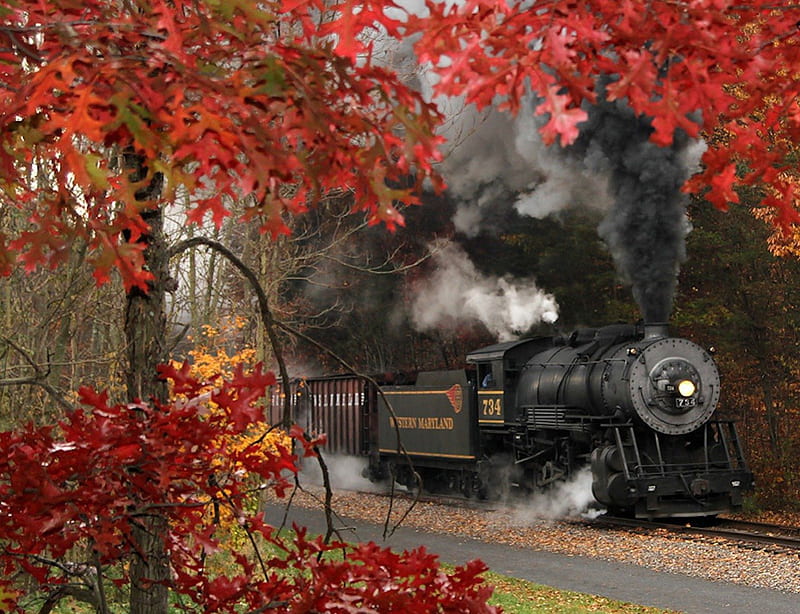 Steam in The Fall, fall, autumn, locomotion, steam, leaves, train, engine, railways, smoke, HD wallpaper