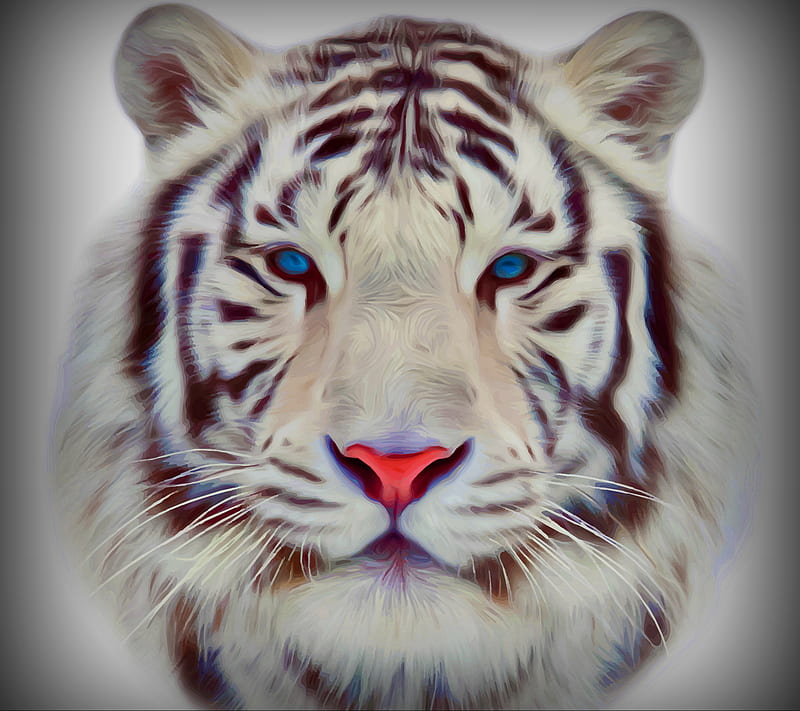 Tiger Abstract, animal, paint, painted, vector, HD wallpaper