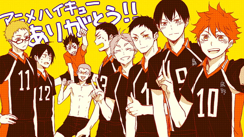 Haikyu Team Of Nishinoya Anime, HD wallpaper