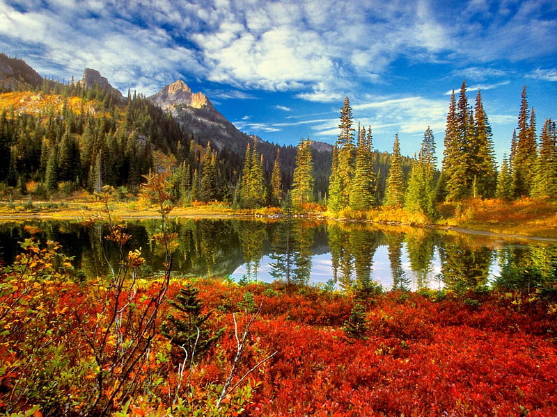 Humor de otoño, autumn feel, autumn, trees, sky, lake, HD wallpaper